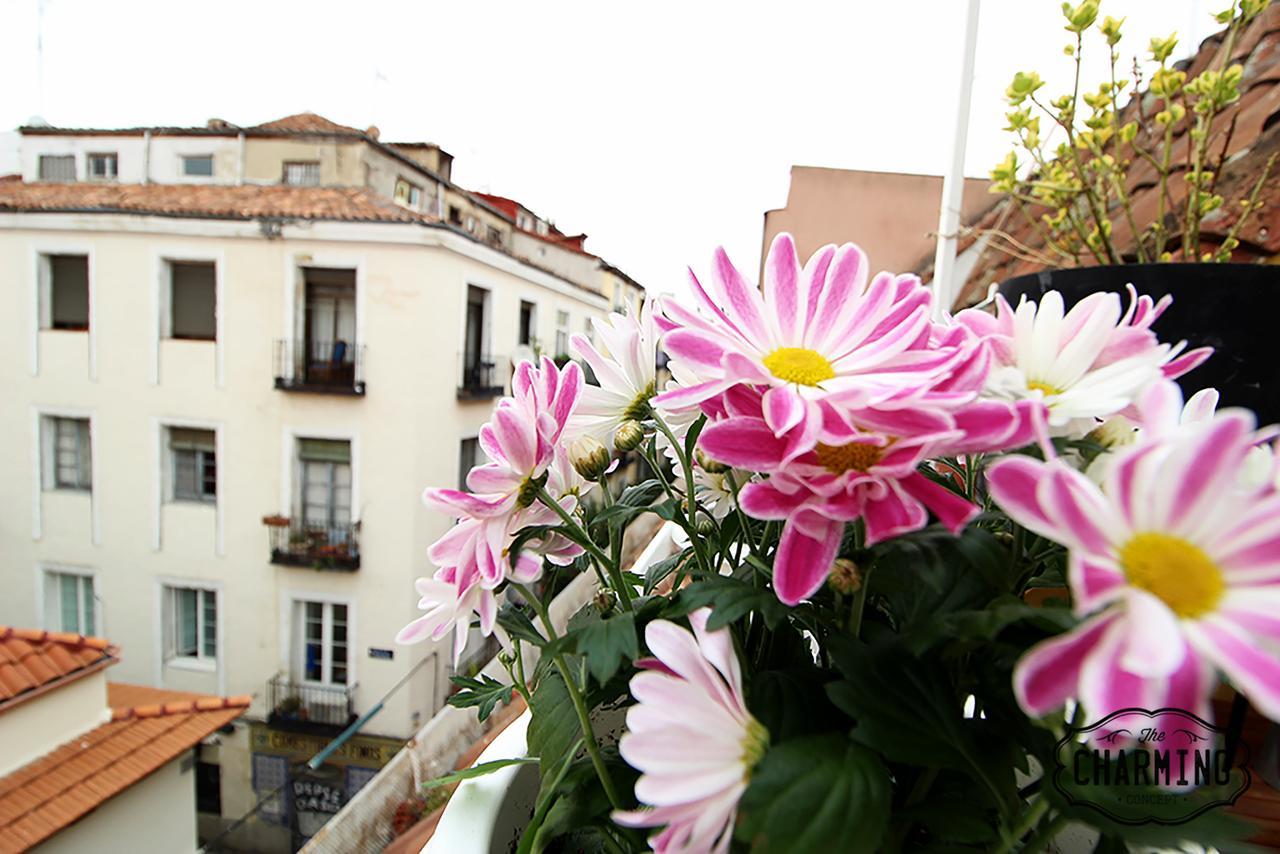 Charming Oasis In The Centre Of Madrid Apartment Ngoại thất bức ảnh