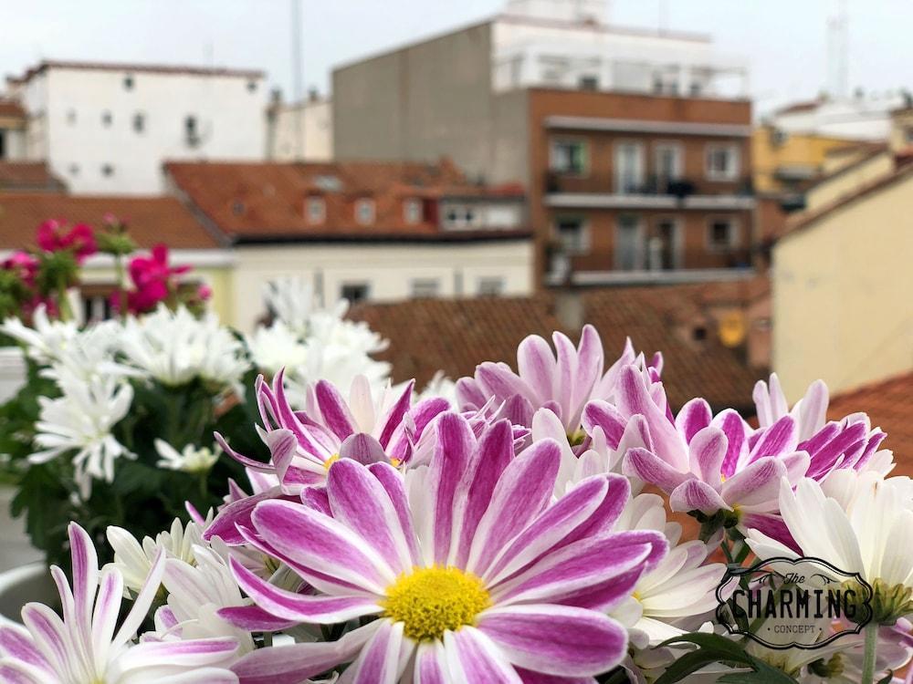 Charming Oasis In The Centre Of Madrid Apartment Ngoại thất bức ảnh